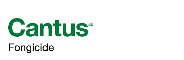 Cantus logo